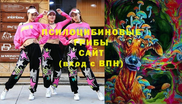 круглые Вязьма