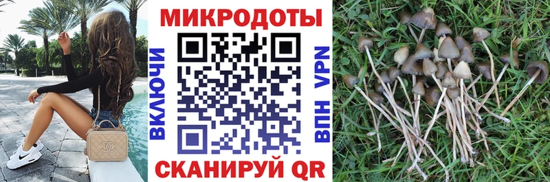 Купить закладки  Анжеро-Судженск  Псилоцибиновые грибы GOLDEN TEACHER 